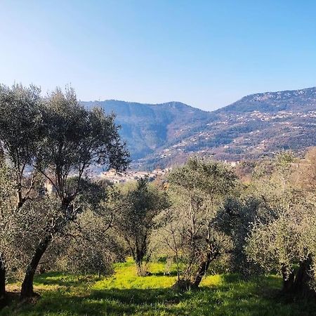 Contes  Bas De Villa. Cote D'Azur, A 20 Kms De Nice מראה חיצוני תמונה